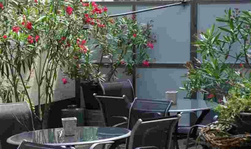 Winzer Lounge Gastezimmer Dernau Eksteriør billede
